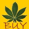 cannabis seeds pricelist