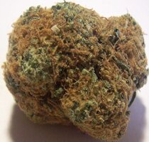 cannabis buds from goldenseed