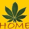  home cannabis seeds
